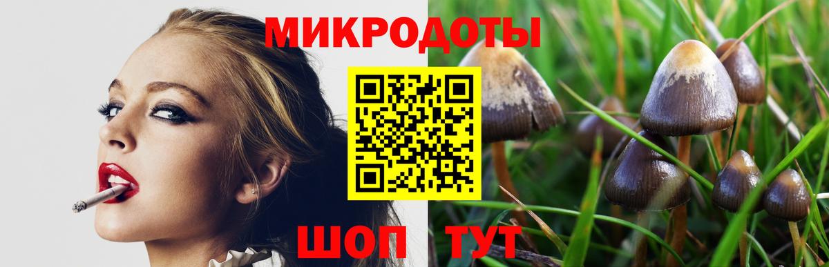 Псилоцибиновые грибы Magic Shrooms  Вход с VPN  Еманжелинск 